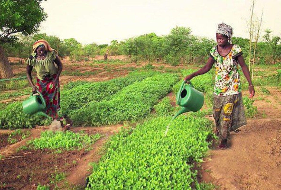 0ae0d99e4ba153909015a075f0c3c725